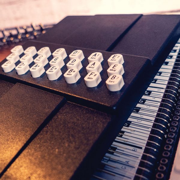 closeup of buttons on Oscar Schmidt Autoharp