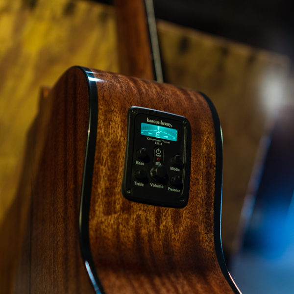 closeup of controls on Oscar Schmidt acoustic electric guitar