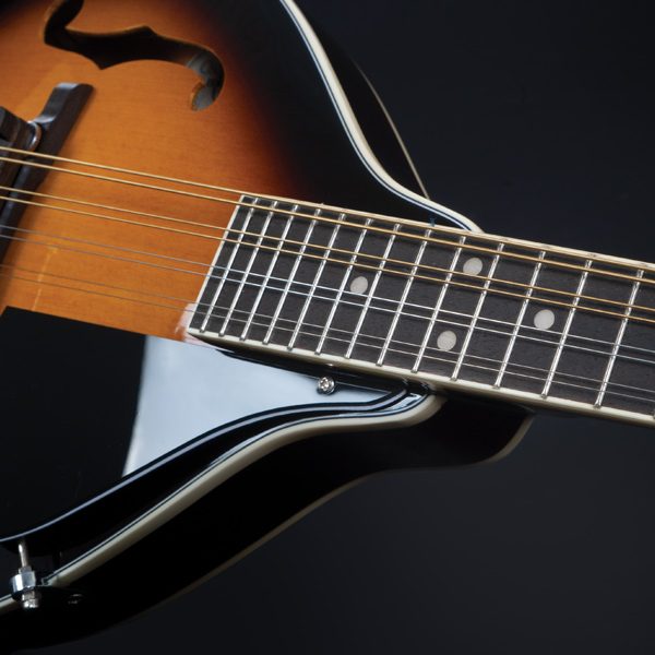 closeup of neck of Oscar Schmidt mandolin