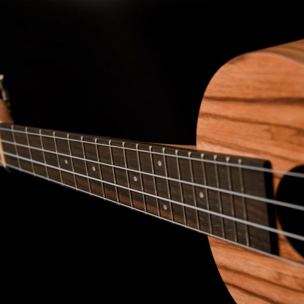 neck of Oscar Schmidt ukulele